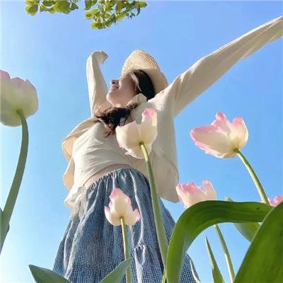 探长薇拉第十四季